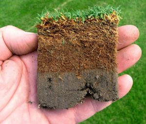 Sandet jord topdressing