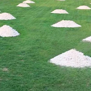 Udlagt hvid topdressing