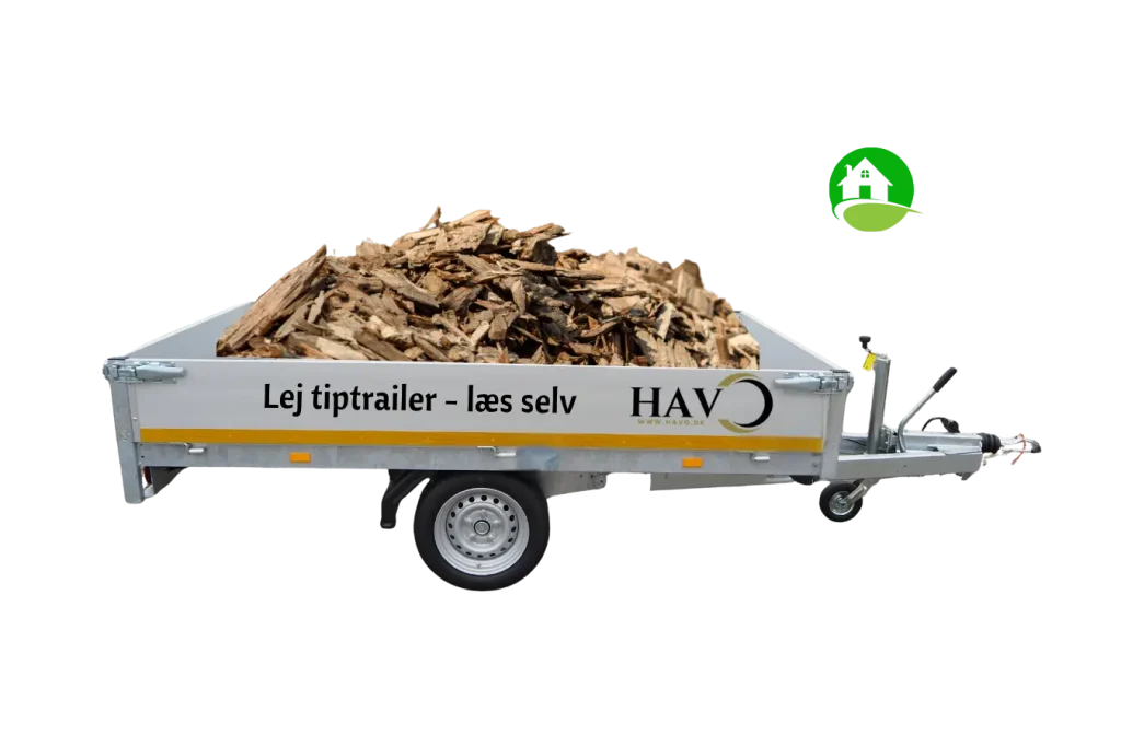 Læs selv flis, Havo.dk
