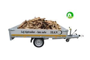 Læs selv flis, Havo.dk